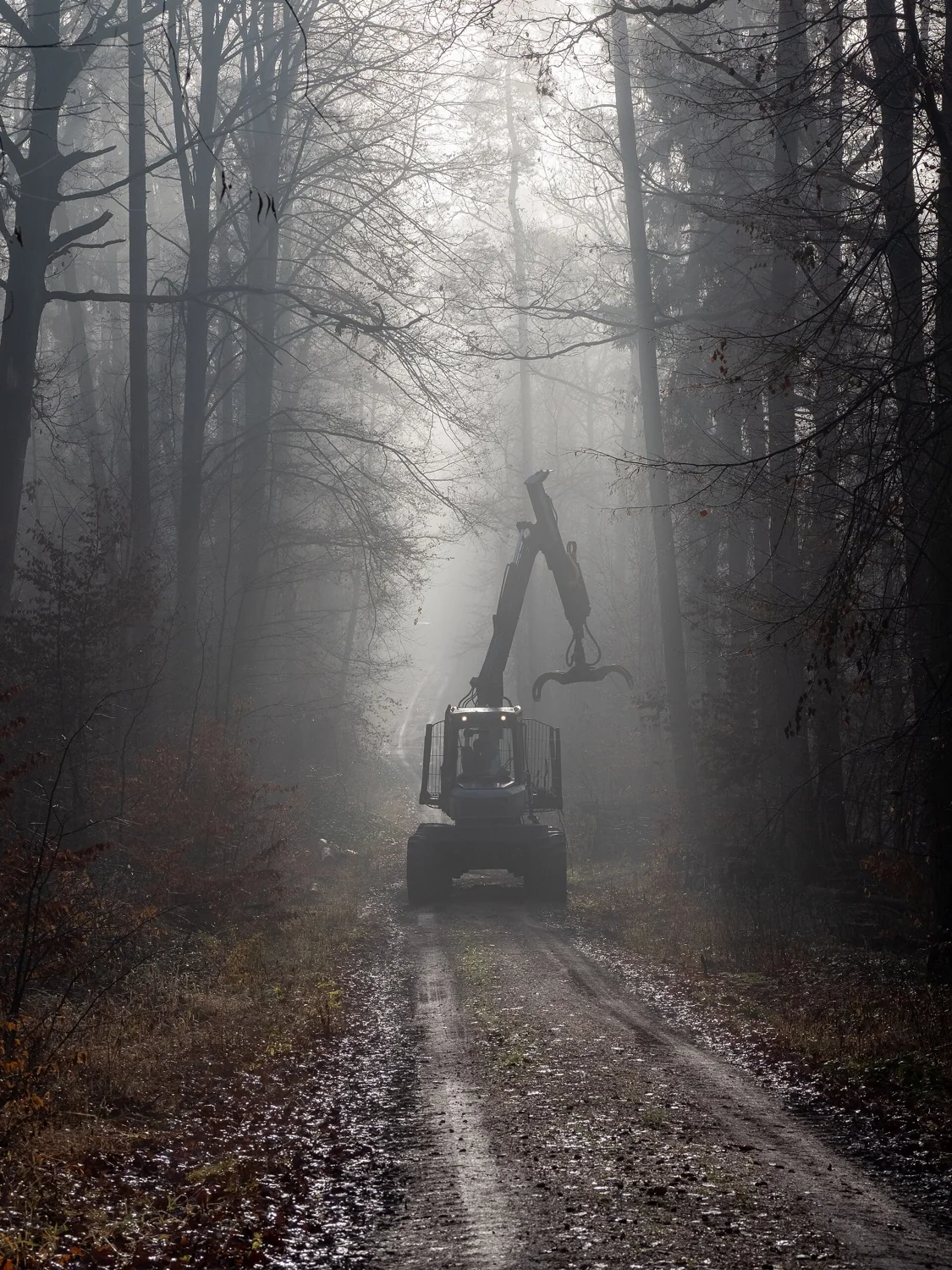 Vyvážečka s hydraulickou rukou na lesní cestě v mlze