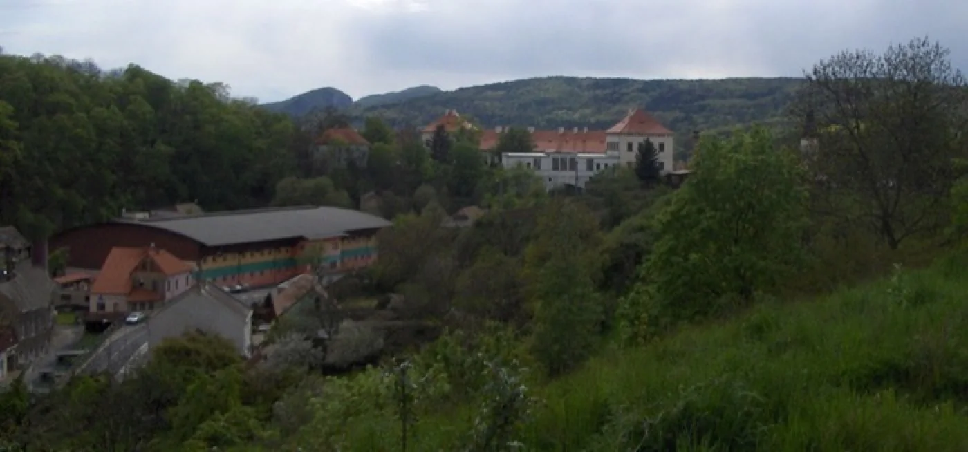 Eishalle Bílina im Tal unter dem Schloss, dahinter bewaldete Hügel