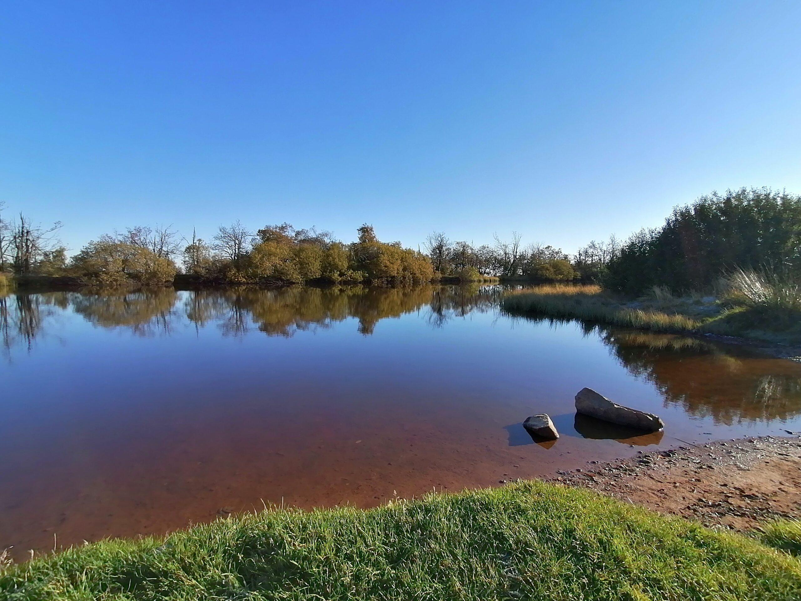 Dlouhý rybník Cínovec