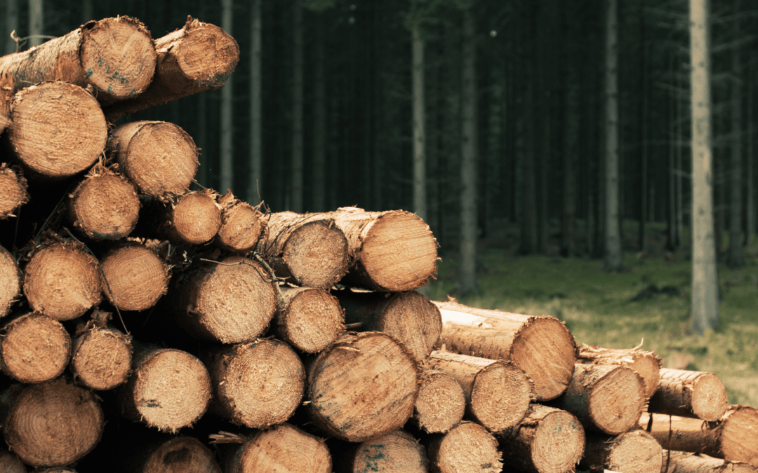 Lesní technika, štěpkovače a drtiče dřeva