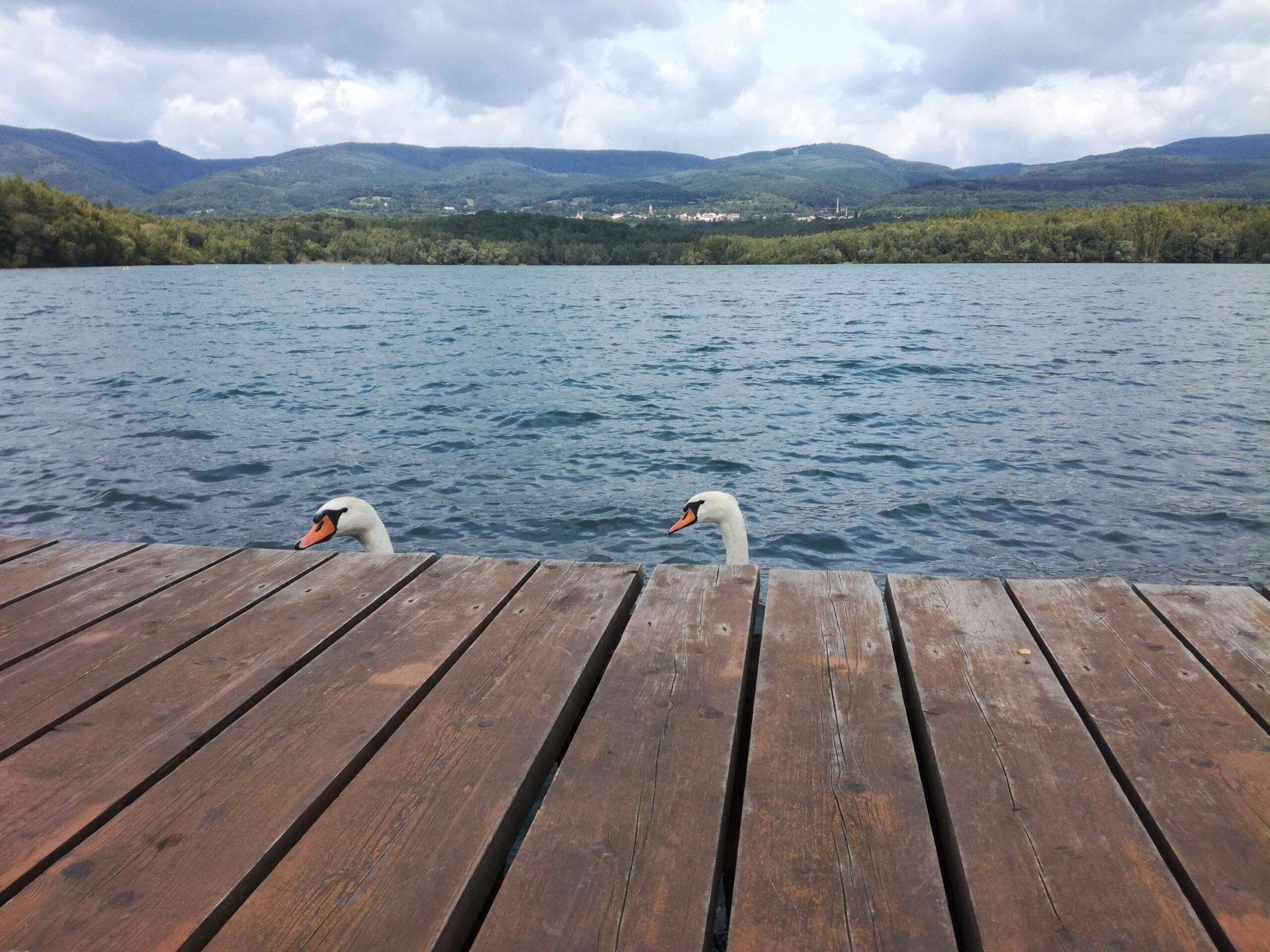 jezero barbora