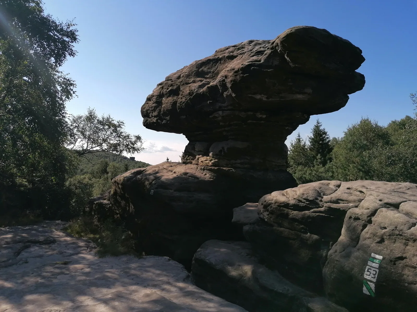 Skalní hřib v Tiských stěnách se zeleným turistickým značením a číslem 53.